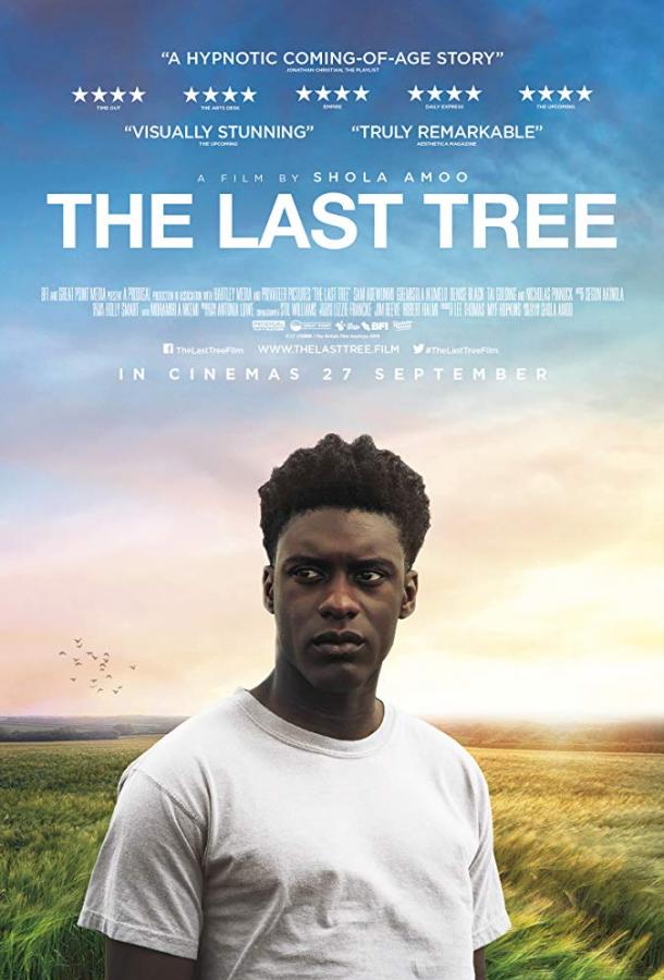   Последнее дерево (2019) 