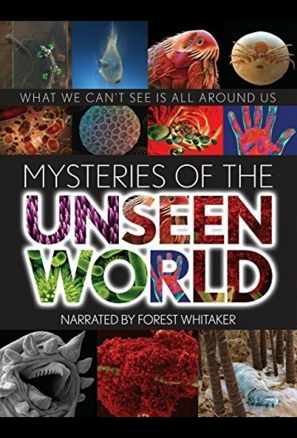 Тайны невидимого мира / Mysteries of the Unseen World (2013) 