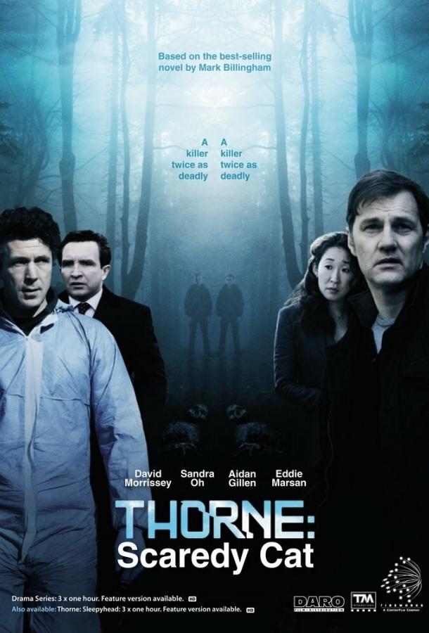 Торн: Пуганая ворона / Thorne: Scaredycat (2010) 