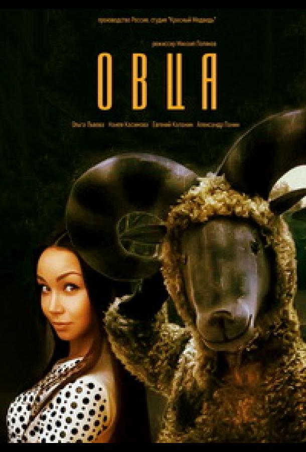 Овца (2016) 