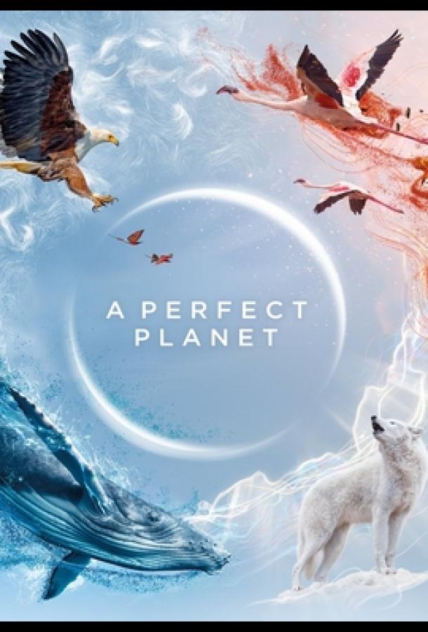Идеальная планета сериал (2021)