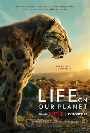 Жизнь на нашей планете 1 сезон 8 серия
